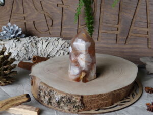 Pointe d’Agate Fleur – Origine : Madagascar – n°82