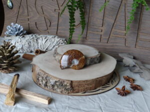 AMMONITE n° 94